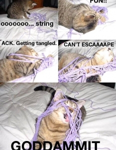 Cat fail: Комични снимки на котки, заклещени на абсурдни места - 6