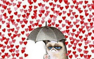 Топ 18 култови пожелания на Grumpy Cat за Свети Валентин