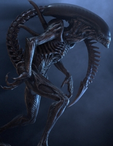 Ксеноморф от Alien (Пришълецът)
Извънземните могат да бъдат най-различни по форма, размери и способности...
Обаче няма толкова ужасяващо същество в космоса, каквото е ксеноморф - перфектната комбинация между организъм и машина. Може би единствено Хищникът е способен да се изправи срещу него...