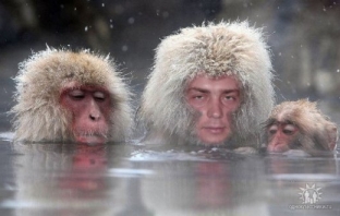 27 покъртително некадърни Photoshop колажа от руски социални мрежи