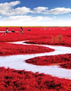 Червеният плаж, Китай