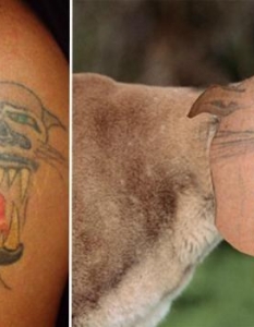 40 ужасни татуировки, които не трябва да си правите никога - 32
