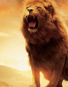 Аслан от The Chronicles of Narnia
През различните части от The Chronicles of Narnia (Хрониките на Нарния) митичният лъв Аслан претърпя няколко визуални трансформации.
С всеки следващ филм създателите му се опитваха да го правят все по-реалистичен и, макар да срещнаха няколко препятствия, те дадоха на публиката един истински CGI лъв.