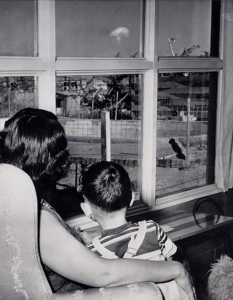 Майка и син наблюдават ядрената гъба след атомен тест. Лас Вегас, 1953 година.
