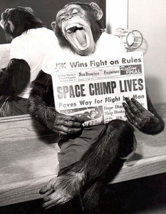 Шимпанзе позира след успешно завръщане от космическа мисия. 1961 година.