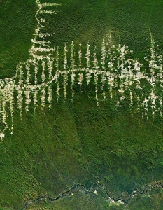 Изсечени местности в амазонската джунгла, Бразилия