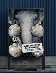 Най-въздействащите реклами с животни, които ще променят начина ви на живот - 39