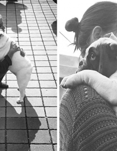 Муцунеста любов: най-сладурските прегръдки между кучета и техните стопани - 12