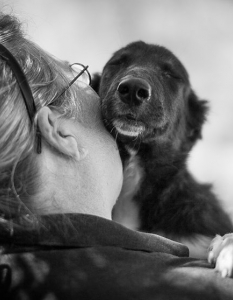 Муцунеста любов: най-сладурските прегръдки между кучета и техните стопани - 15