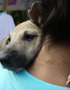 Муцунеста любов: най-сладурските прегръдки между кучета и техните стопани - 18