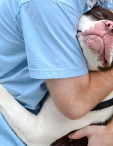 Муцунеста любов: най-сладурските прегръдки между кучета и техните стопани - 20