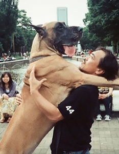 Муцунеста любов: най-сладурските прегръдки между кучета и техните стопани - 3