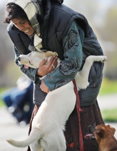 Муцунеста любов: най-сладурските прегръдки между кучета и техните стопани - 4
