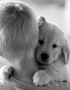 Муцунеста любов: най-сладурските прегръдки между кучета и техните стопани - 5