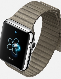 Apple Watch - 4