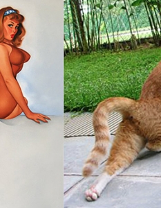 30 котета, които изглеждат като секси pin-up момичета - 23