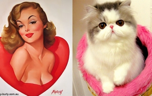 30 котета, които изглеждат като секси pin-up момичета