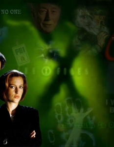 The X-Files (Досиетата Х)
Истината е някъде там…
Фокс Мълдър и Дейна Скъли са вероятно двамата ни любими агенти от ФБР. Поне от телевизионния екран.
Дуото преследва мистерии, свръхестествени същества и извънземни в продължение на завидните девет сезона. 9 години, през които някои нощи заспивахме доста по-трудно от други. 