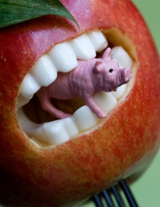 Ябълка със зъби яде прасенце
iStockphoto