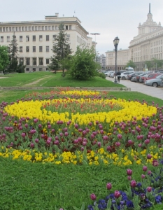 Международният фестивал на лалето мигрира в целия си блясък на площада пред НХГ в София - 1