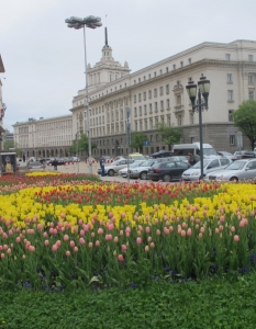 Международният фестивал на лалето мигрира в целия си блясък на площада пред НХГ в София - 7