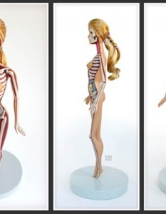 Фрийк шоу: любимите ви кукли като учебно помагало по анатомия - 4