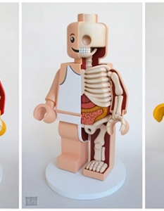 Фрийк шоу: любимите ви кукли като учебно помагало по анатомия - 5