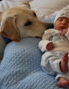20 трогателни снимки на бебета с животни, в които ще се влюбите - 12