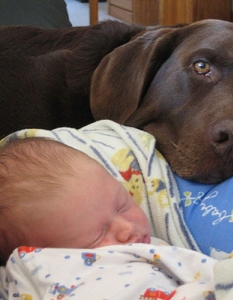 20 трогателни снимки на бебета с животни, в които ще се влюбите - 18