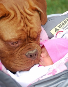 20 трогателни снимки на бебета с животни, в които ще се влюбите - 19