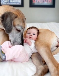 20 трогателни снимки на бебета с животни, в които ще се влюбите - 2