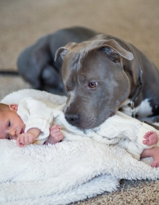 20 трогателни снимки на бебета с животни, в които ще се влюбите - 7