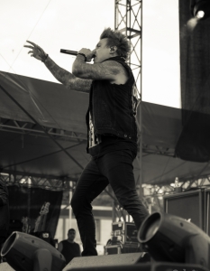 Summer Chaos 2015, Part 2: Amorphis + Papa Roach - 28