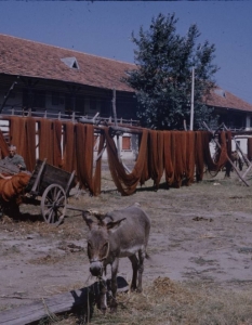 България от 1961 година през погледа на фотографа на Life Карл Майданс - 9