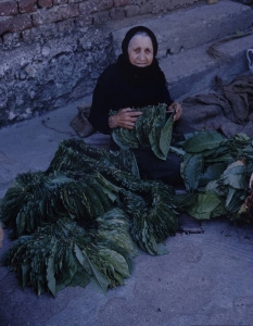 България от 1961 година през погледа на фотографа на Life Карл Майданс - 12