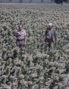 България от 1961 година през погледа на фотографа на Life Карл Майданс - 24