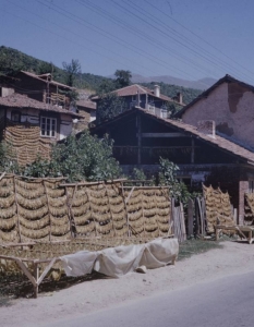 България от 1961 година през погледа на фотографа на Life Карл Майданс - 27