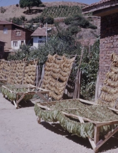 България от 1961 година през погледа на фотографа на Life Карл Майданс - 34