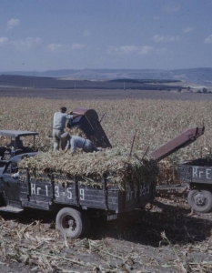 България от 1961 година през погледа на фотографа на Life Карл Майданс - 45