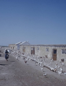 България от 1961 година през погледа на фотографа на Life Карл Майданс - 5