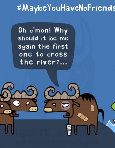 Животните и техните проблеми, представени в серия комични илюстрации - 3