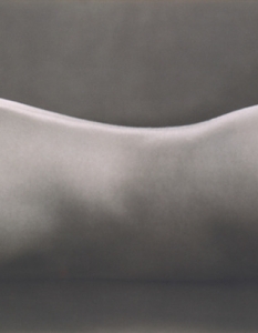 12. Edward Weston "Nude" (1925) $1 600 000