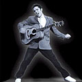 Избраха Elvis Presley за най-печеливша покойна звезда