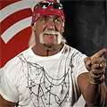 Hulk Hogan поиска размразяване на финансите