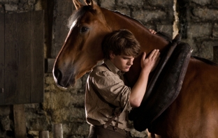 War Horse