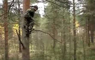 Как се скача от дърво като по филмите