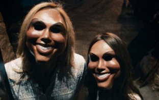 The Purge The Purge