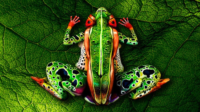 Човешката тропическа жаба на Йоханес Щьотер се "реконструира"