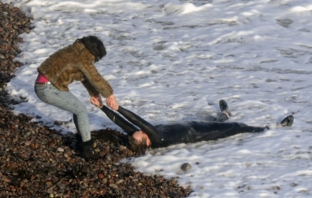 Under The Skin Under The Skin
