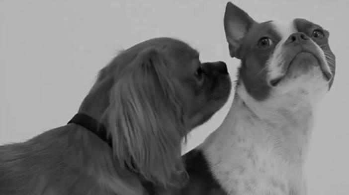 Джими Фалън с фантастична пародия на хитовото видео First Kiss